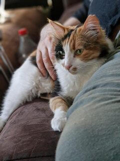 Oona