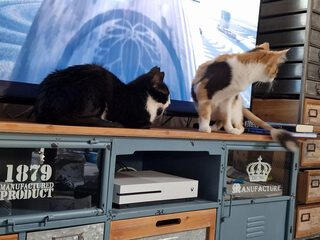 Jack & Oona
