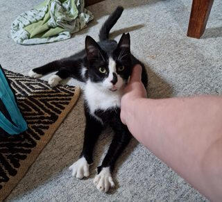 Jack