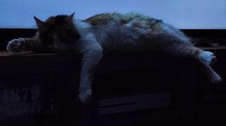 Oona