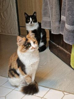 Jack & Oona Jack & Oona