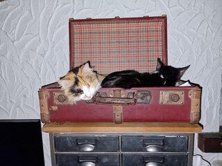 Jack & Oona