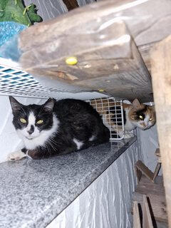 Jack & Oona Jack & Oona